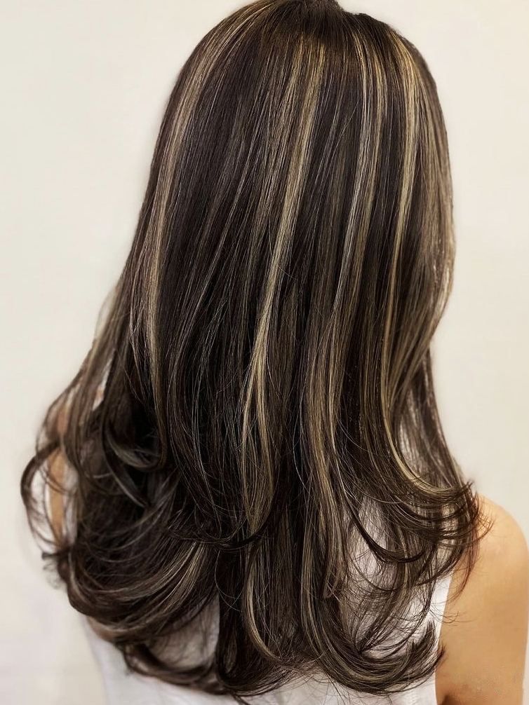 Brown Hair with Blonde
  Highlights