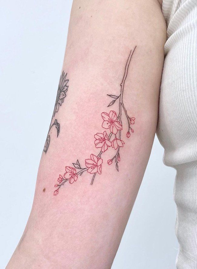 Blooming Beauty: Cherry Blossom Tattoo Inspiration for Women