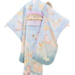 1688776866_kimono-outfit.jpg