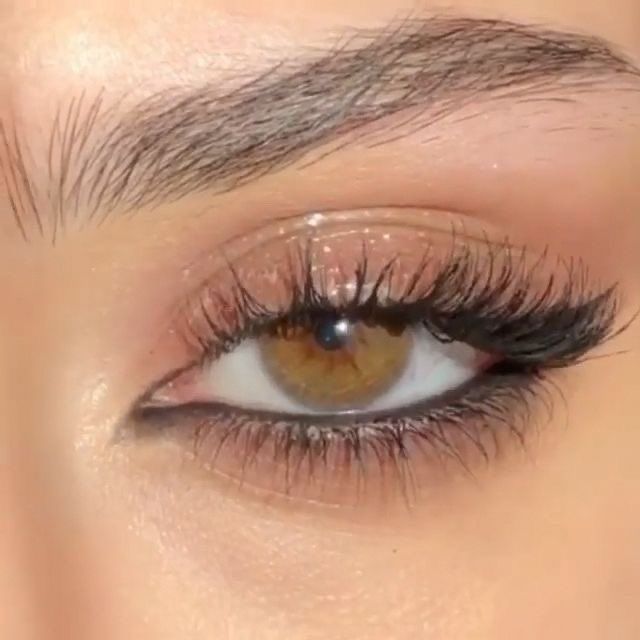 Neutral Eye Makeup