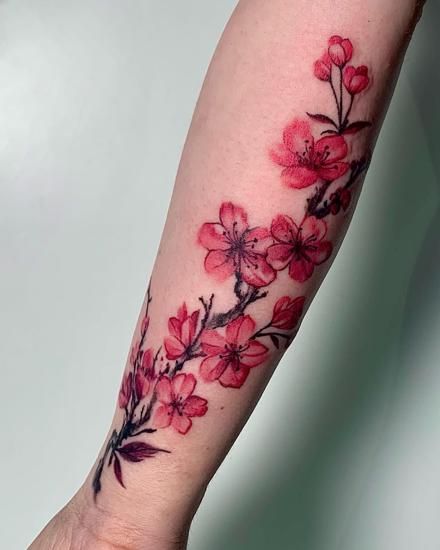 Breathtaking Cherry Blossom Tattoo Inspirations for Female Body Art Enthusiasts