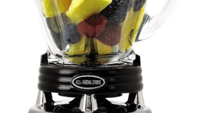 Blending Bliss: Our Review of the Oster Heritage Blender