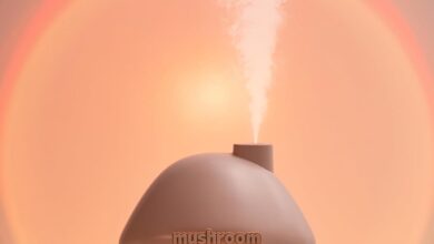 Transforming Our Spaces: A Review of the Ultrasonic Humidifier