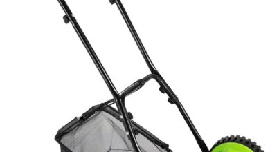 Reviving Our Lawn with the 5-Blade Manual Push Mower