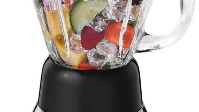 Why We Trust the Oster Classic 16-Speed Blender for Every Blend