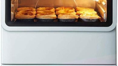 VejiA 20L Oven Review: Our Take on Versatile Steam & Bake Power