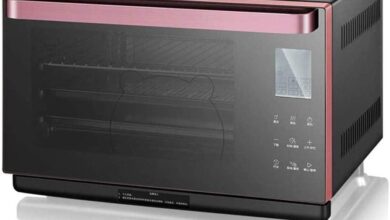 VejiA Oven Review: Our Take on a Sleek, Multi-Function Steam Oven