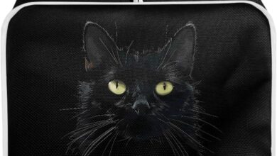 Protecting Our Toaster with a Stylish 3D Black Cat Cover