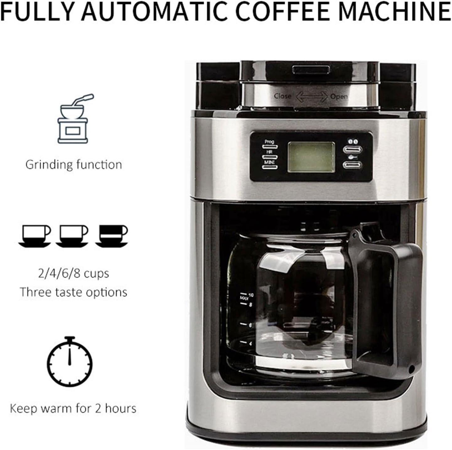 Our Take on the PiddLE 2-in-1 Coffee Maker: Features & Performance