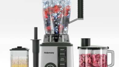 Our Honest Take on the Holumany Silver Blender: Mixed Reviews Inside