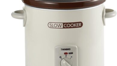 Our Honest Take on the TWINBIRD EP-4717BR Slow Cooker