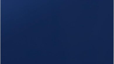 Why We Love the ZLINE Tallac Dishwasher’s Sleek Blue Gloss Design