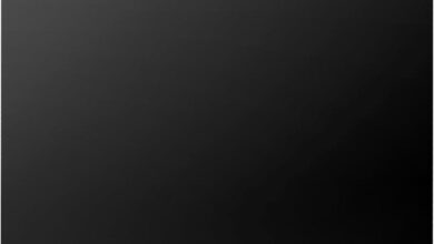 Why We Believe the ZLINE Autograph Edition Dishwasher Shines