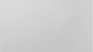 Why We Trust the ZLINE Monument Dishwasher for Spotless Washes