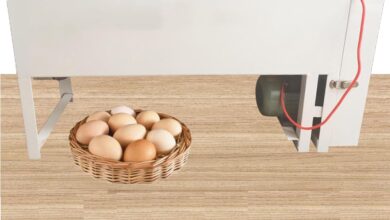 How We Streamlined Egg Cleaning with This Washing Machine