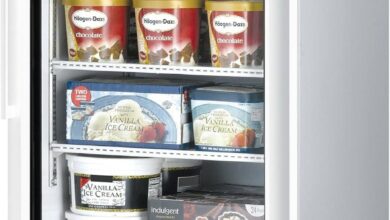 Top-Rated Upright and Chest Freezers for Every Home and Commercial Need