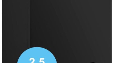 Top Upright and Chest Freezers for Every Space: Compact to Commercial Choices