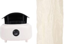 Why We Trust the JTLB 800W Compact Dryer for Quick, Gentle Drying