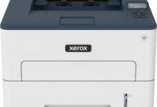 Top Color, Mono, and Portable Printers to Fit Every Home and Office Need