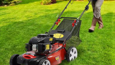 Our Review: 20″ Gas Lawn Mower with Power and Precision