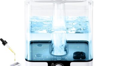 Finding Comfort Together: Our Take on the CHIVALZ 6L Quiet Humidifier