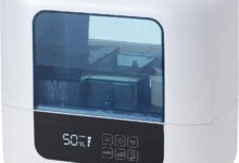 Why We Love This Large-Capacity Humidifier for Every Room