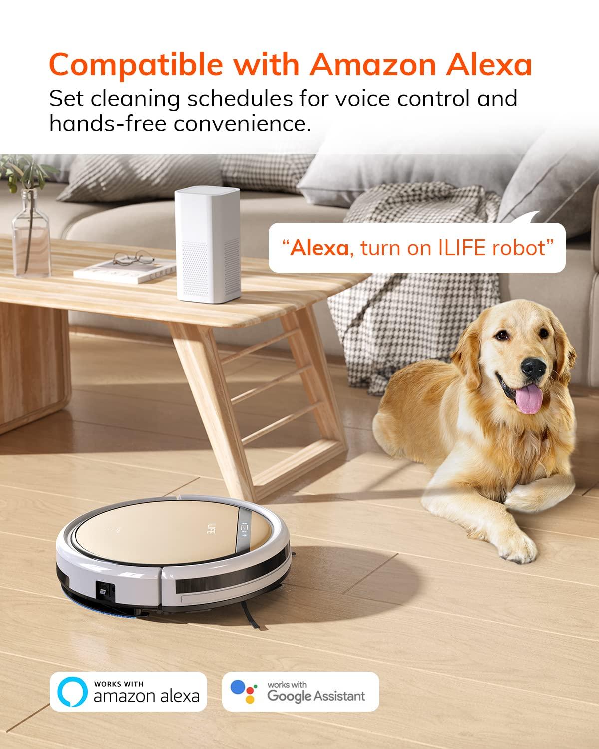 Our‍ Honest Take on ILIFE V5s Plus Robot ​Vacuum & Filter Combo