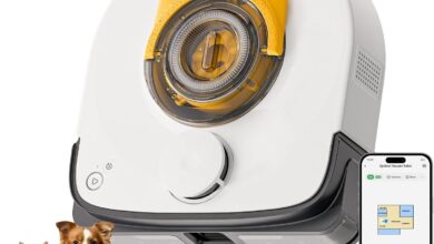 Why We Trust The Ubpet V10 For Pet Hair And Carpets