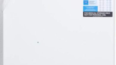 Keeping It Cool: Our Take on the Summit VLT650 Upright Freezer