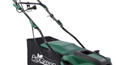 Tackling Lawn Care with a Powerful 2-in-1 Dethatcher and Scarifier