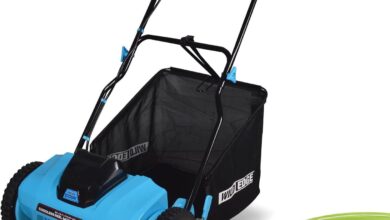 Cutting Edge Lawn Care: Exploring the 20V Lithium Reel Mower