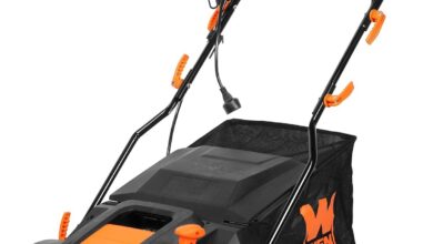 Reviving Our Lawn: WEN’s 2-in-1 Dethatcher and Scarifier Review