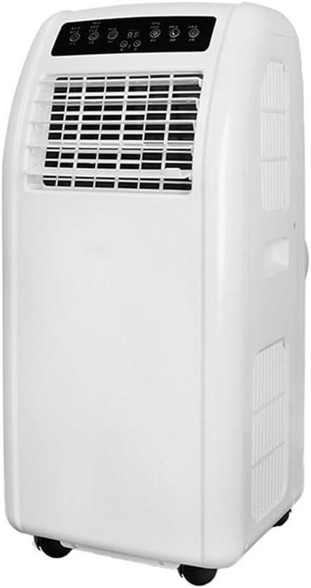 Our Honest Take: 10000 BTU Portable Air Cooler & Dehumidifier