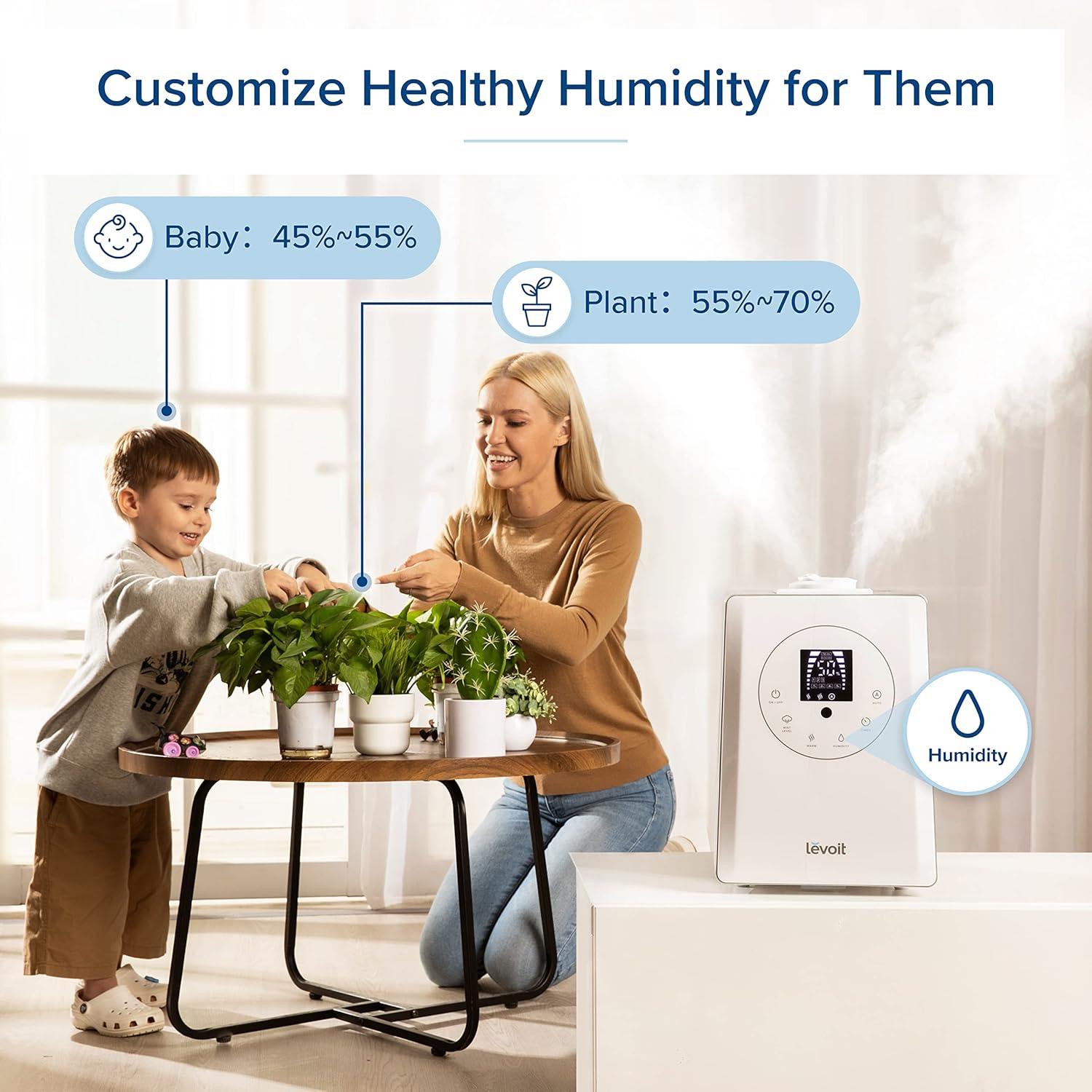 How We Found Comfort with LEVOIT's Silent 6L Humidifier for Home