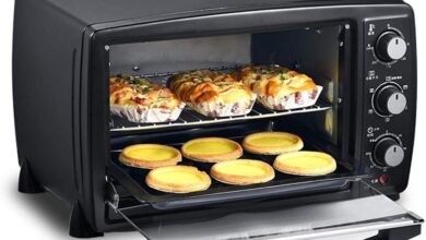 25l Mini Oven Review Versatile Baking With Precise Controls