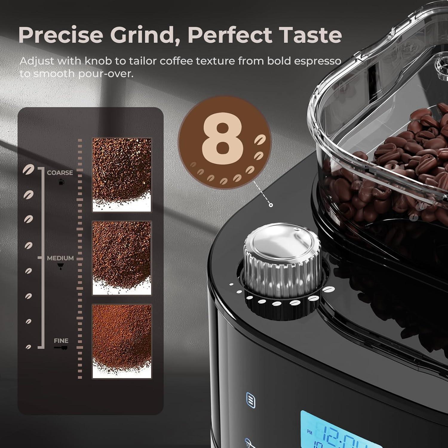 Havato 10-Cup Grind & Brew — how it fits your counter
