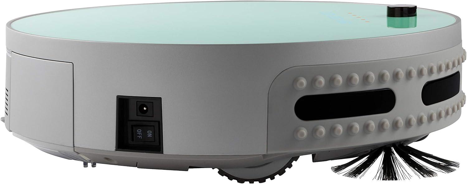 Keeping Fur Under Control: Exploring bObi Pet Robotic Vacuum's Features