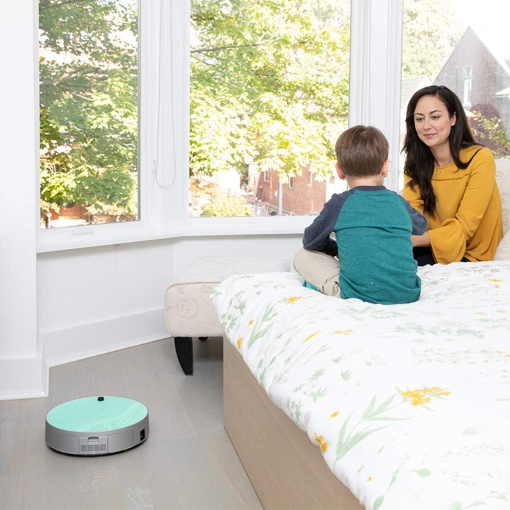 Keeping Fur Under Control: Exploring bObi Pet Robotic Vacuum's Features