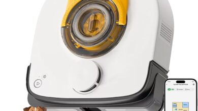 Why We Recommend This Robot Vacuum For Pet Hair And Carpets