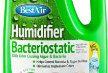 Bestair 3bt Pdq 6 What You Ll Notice About Filter Care